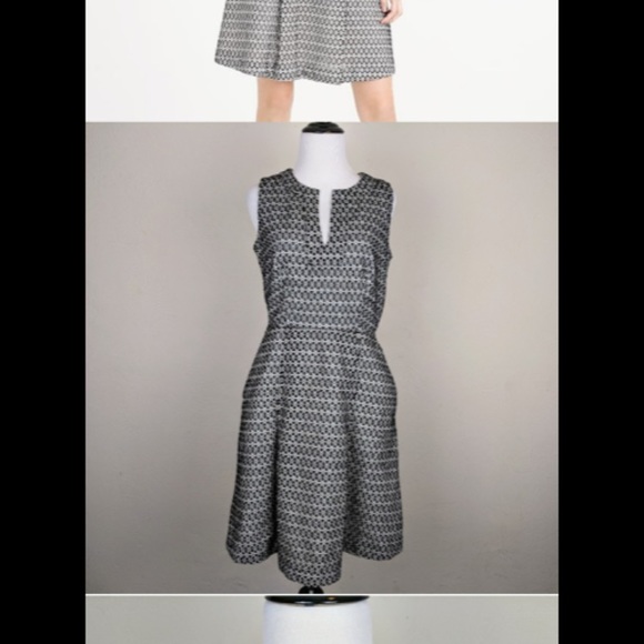 J Crew Contrast Eyelet Dress (it has pockets 😊) - Picture 3 of 3